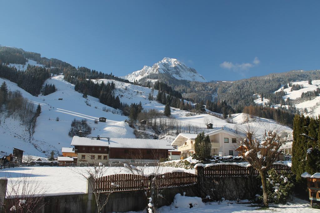 Haus Schoenegger Dorfgastein Exterior photo
