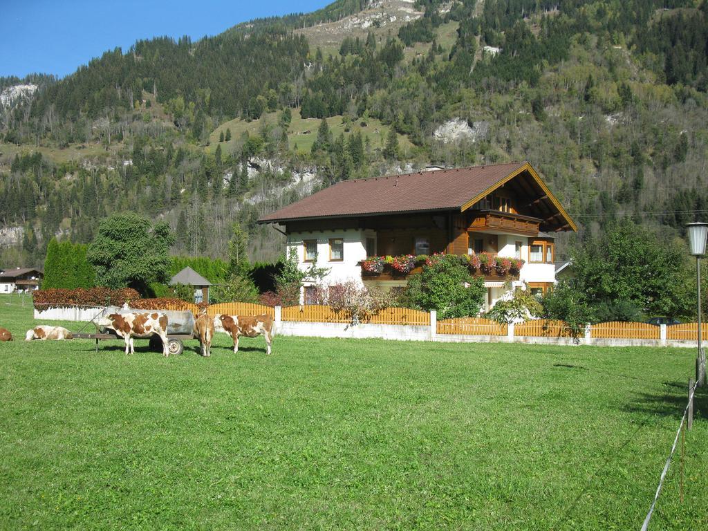 Haus Schoenegger Apartment Dorfgastein Exterior photo